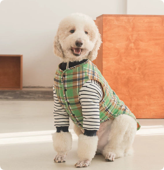 Thermal Protection Large Dog Winter Clothing Labrador Retriever