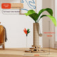 Solid Wood Cat Climbing Frame Scratching Board Toy