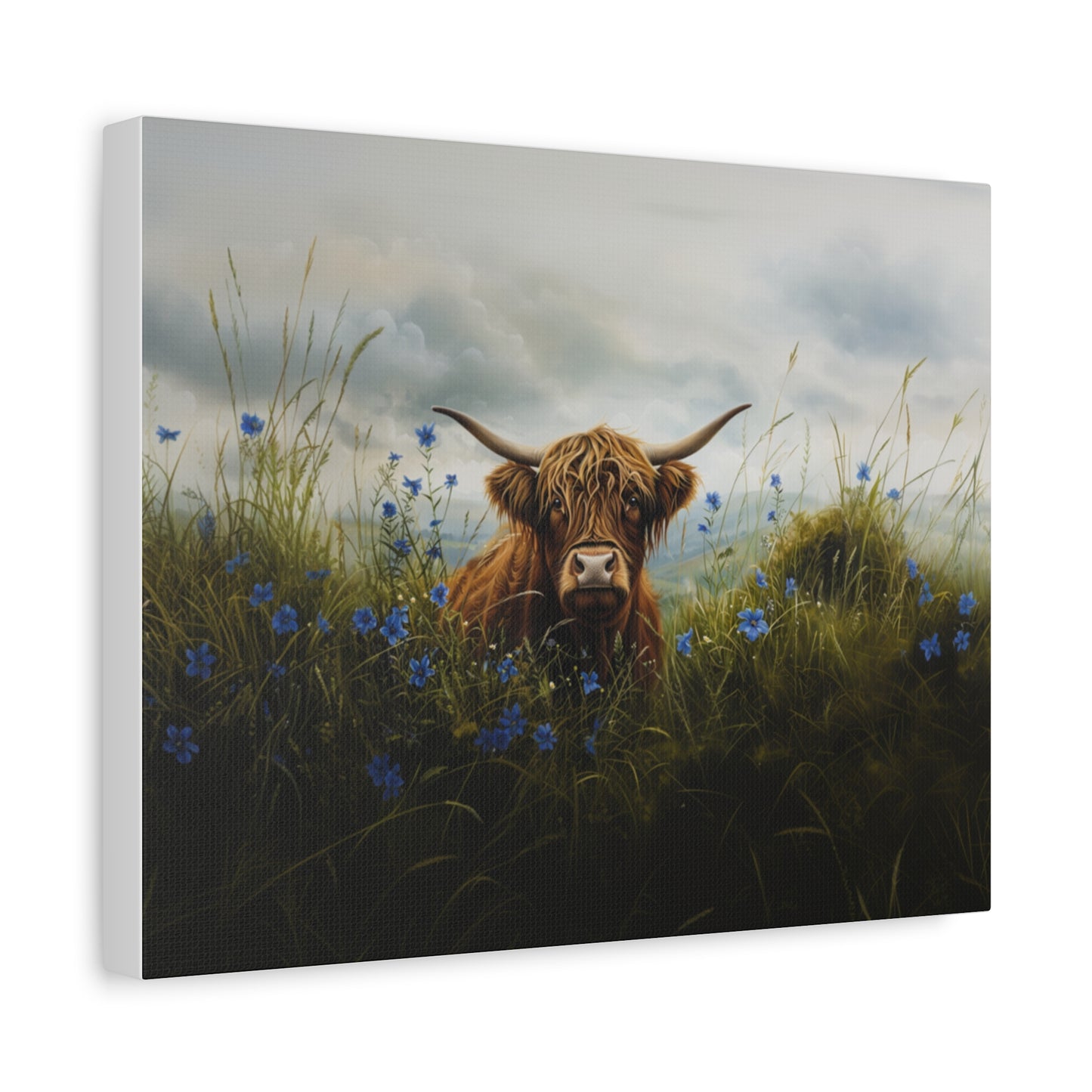 Highland "Forget Me Not" Cow Canvas 1.25"