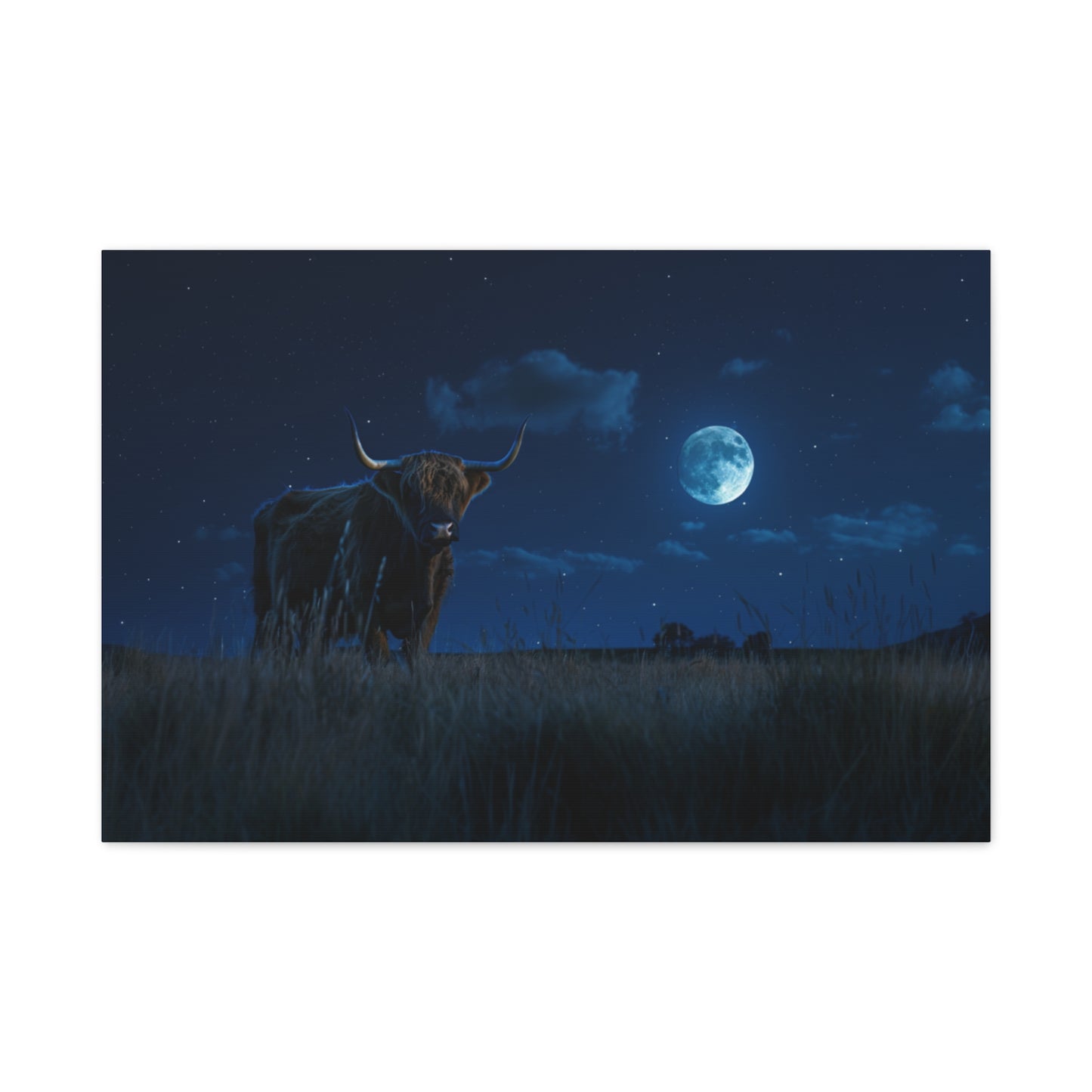 Highland "Starry Night" Cow Canvas 1.25"