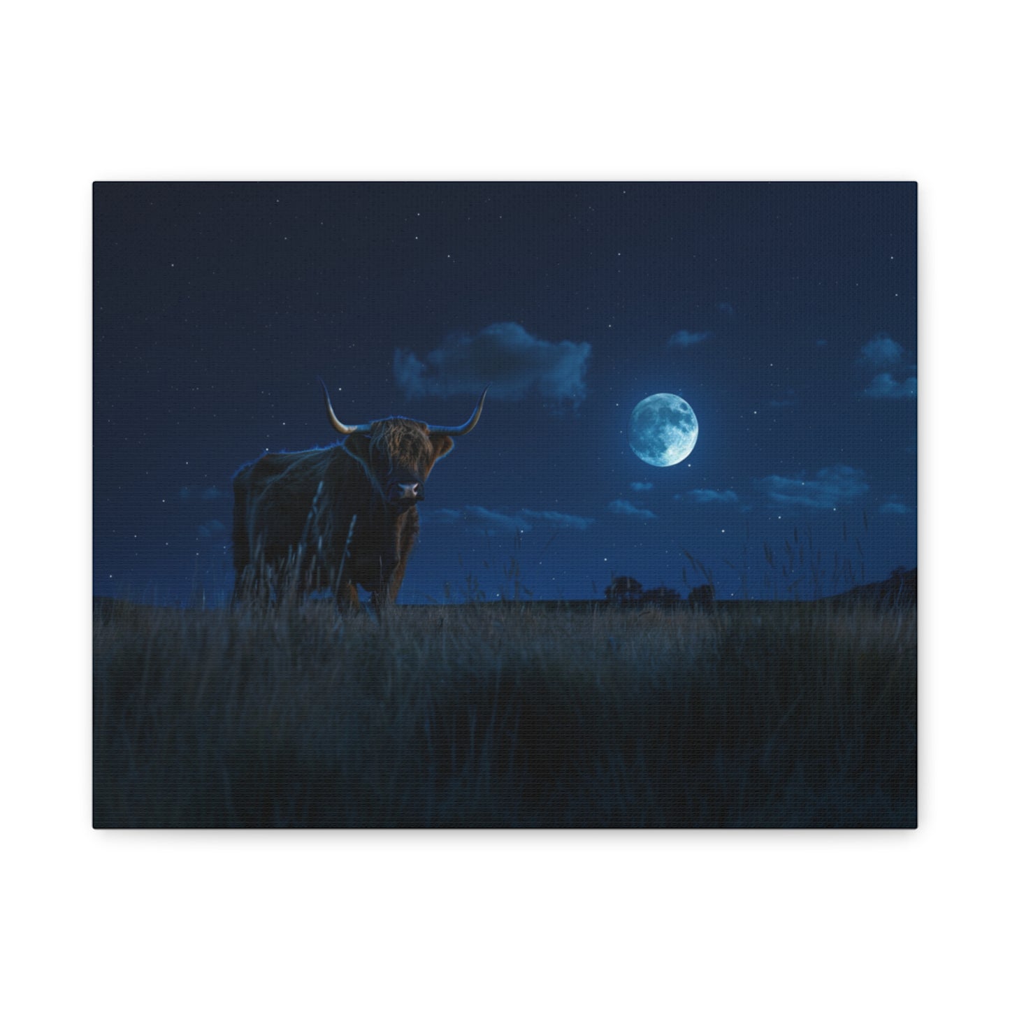 Highland "Starry Night" Cow Canvas 1.25"