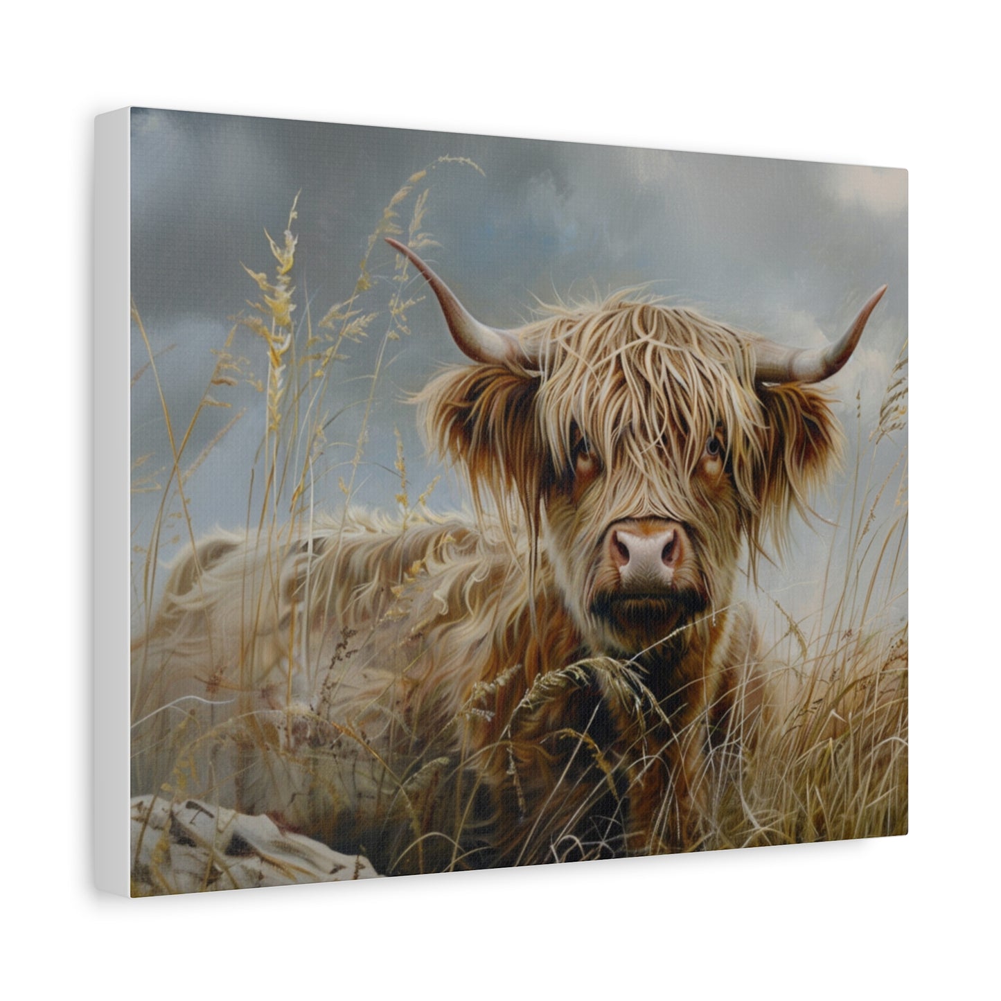 Highland "Goldilocks 2" Cow Canvas 1.25"