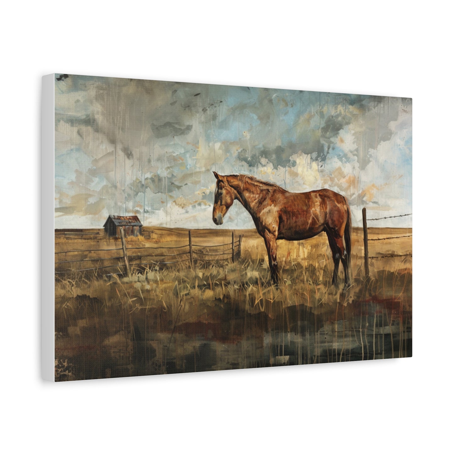 Mustang "Sagebrush" Canvas 1.25"