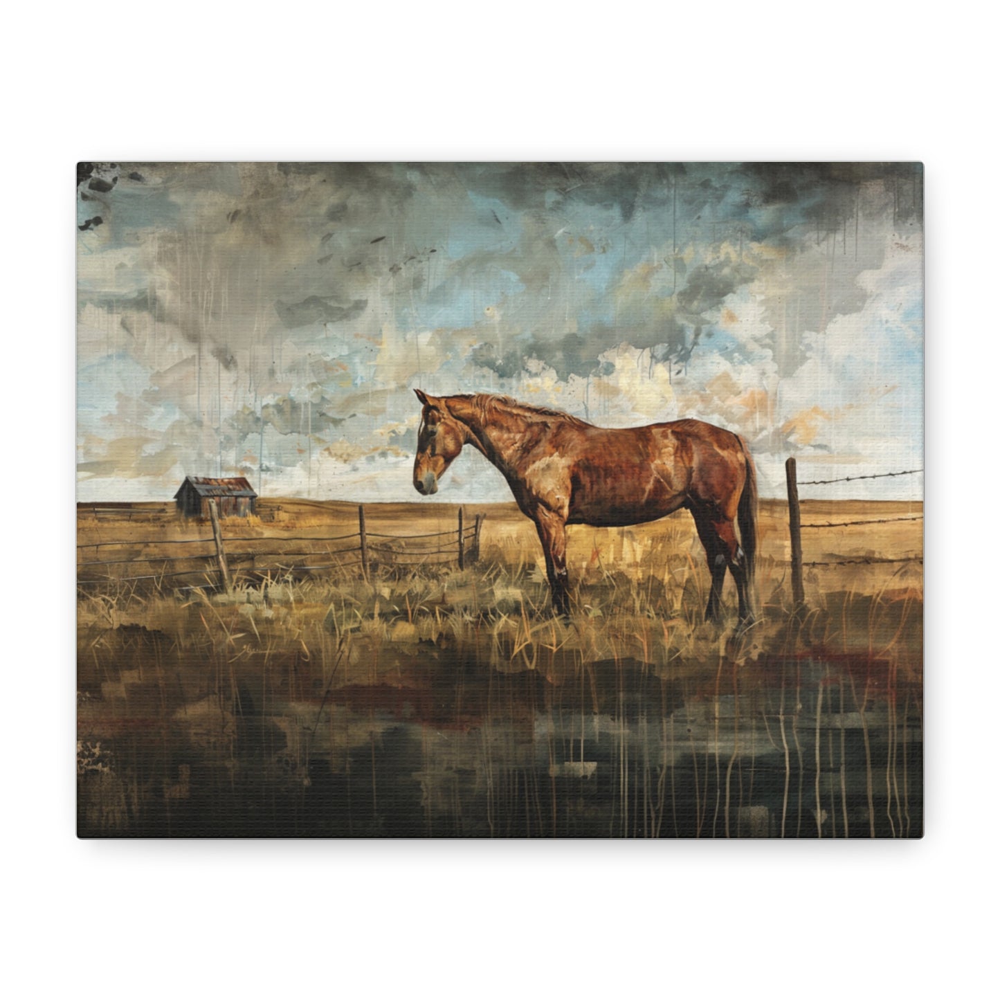 Mustang "Sagebrush" Canvas 1.25"