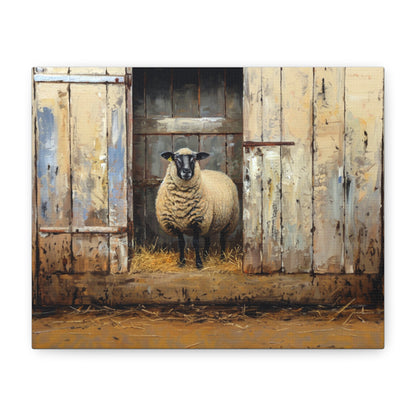 Suffolk "Sophie" Sheep Canvas 1.25"