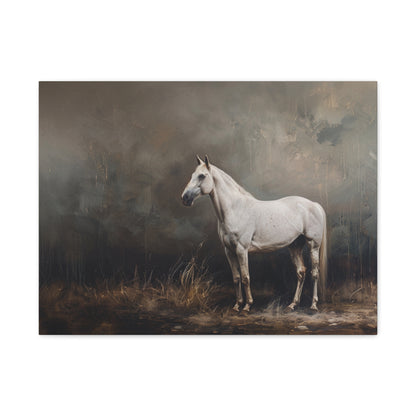 Stallion "Sterling" Canvas 1.25"