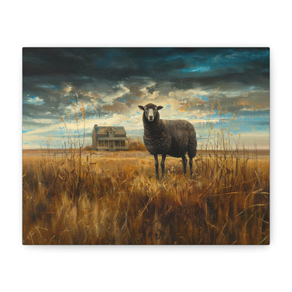 Black Welsh "Sooty" Sheep Canvas 1.25"