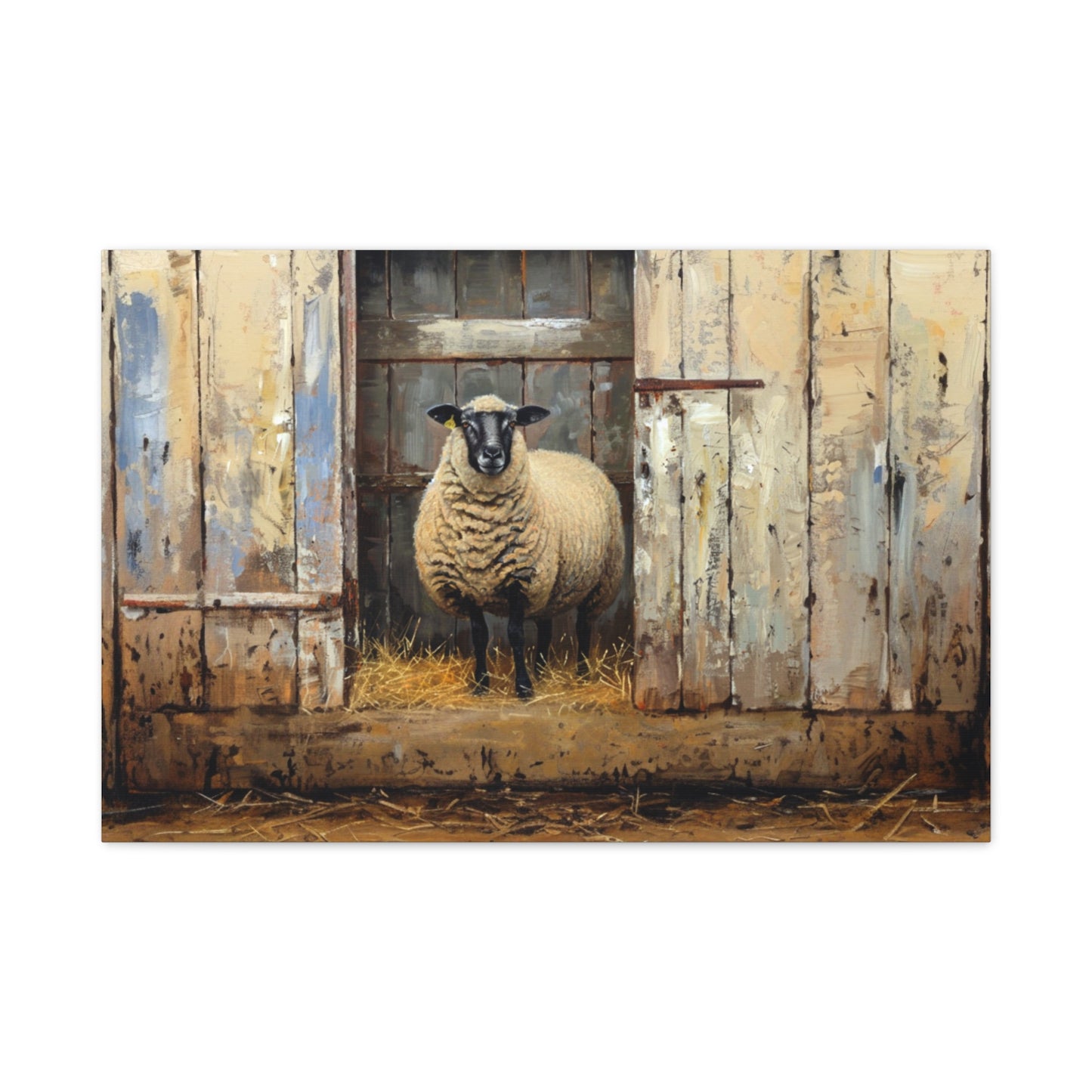 Suffolk "Sophie" Sheep Canvas 1.25"