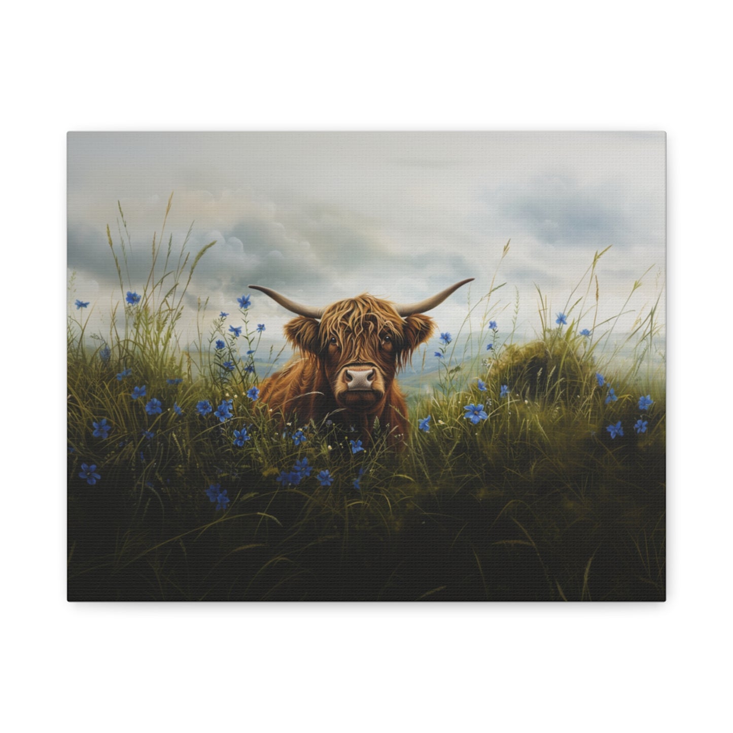 Highland "Forget Me Not" Cow Canvas 1.25"