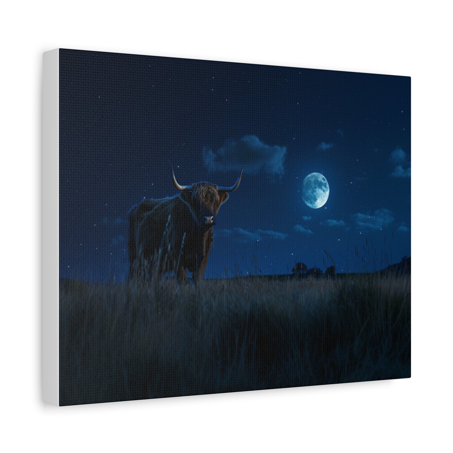 Highland "Starry Night" Cow Canvas 1.25"