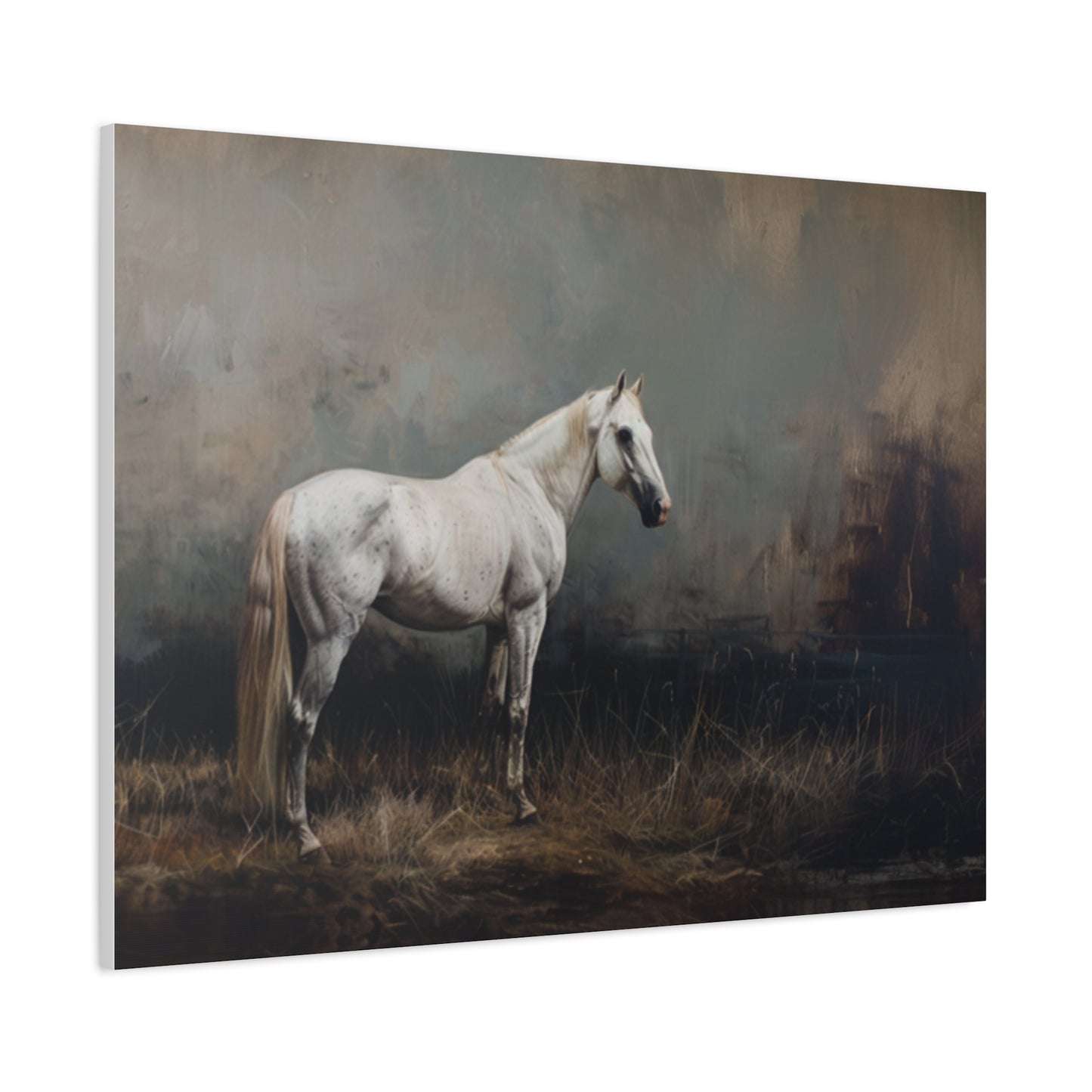 Stallion "Arctic" Canvas 1.25"