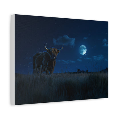 Highland "Starry Night" Cow Canvas 1.25"