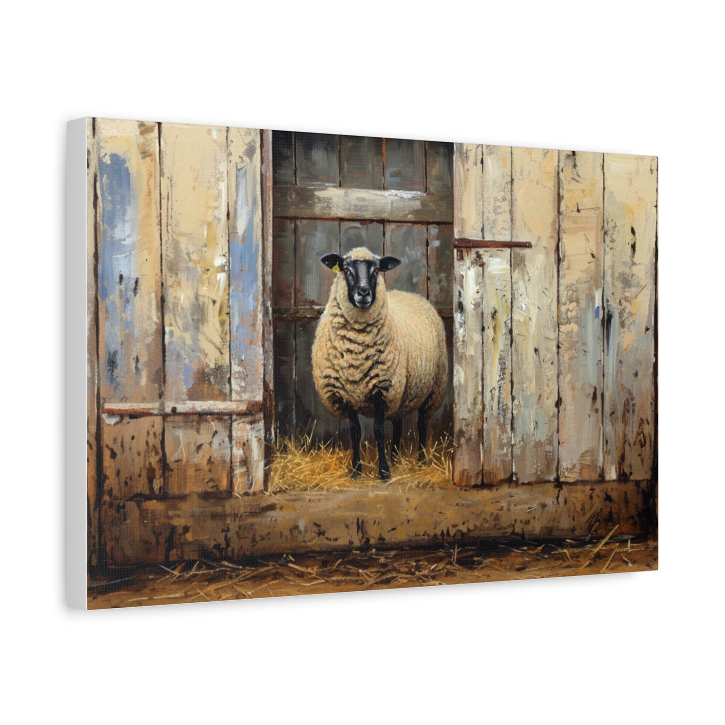 Suffolk "Sophie" Sheep Canvas 1.25"