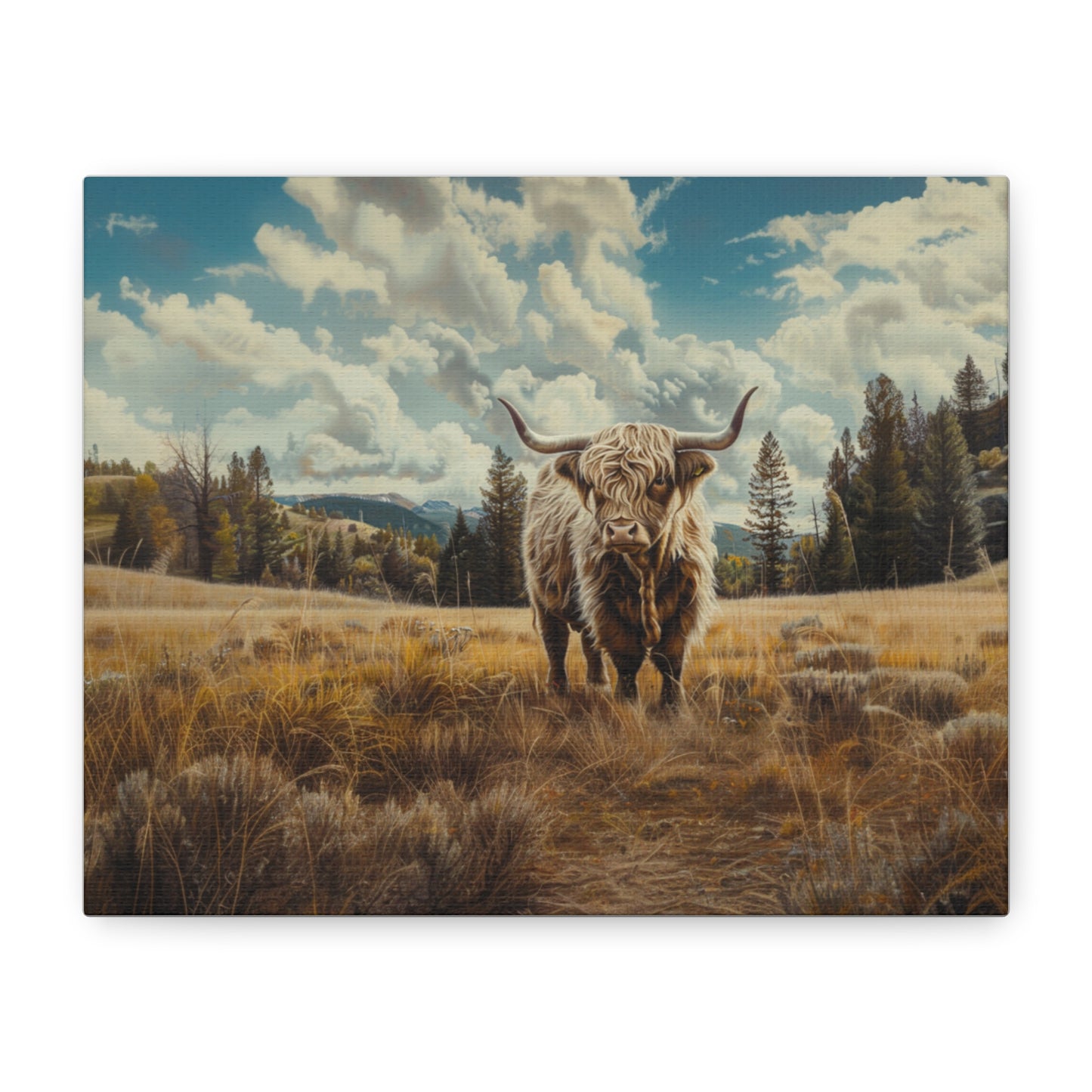 Highland "Bonnie" Cow Canvas 1.25"