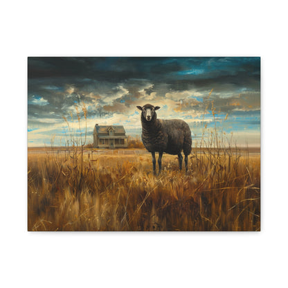 Black Welsh "Sooty" Sheep Canvas 1.25"