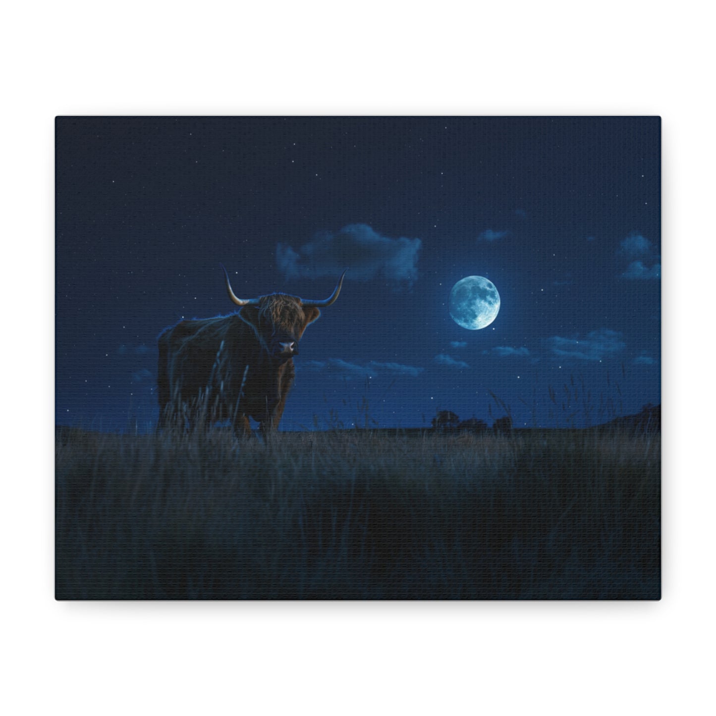 Highland "Starry Night" Cow Canvas 1.25"