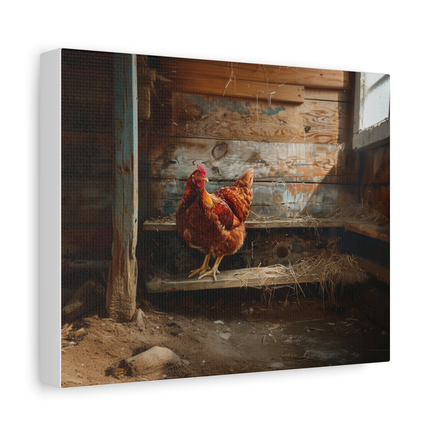 Rhode Island Red "Henny Penny" Chicken Canvas 1.25"