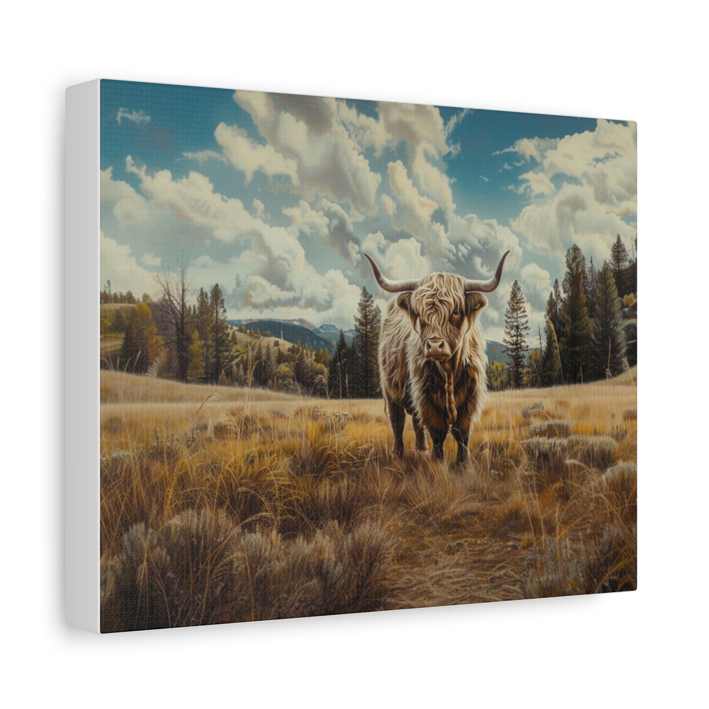 Highland "Bonnie" Cow Canvas 1.25"