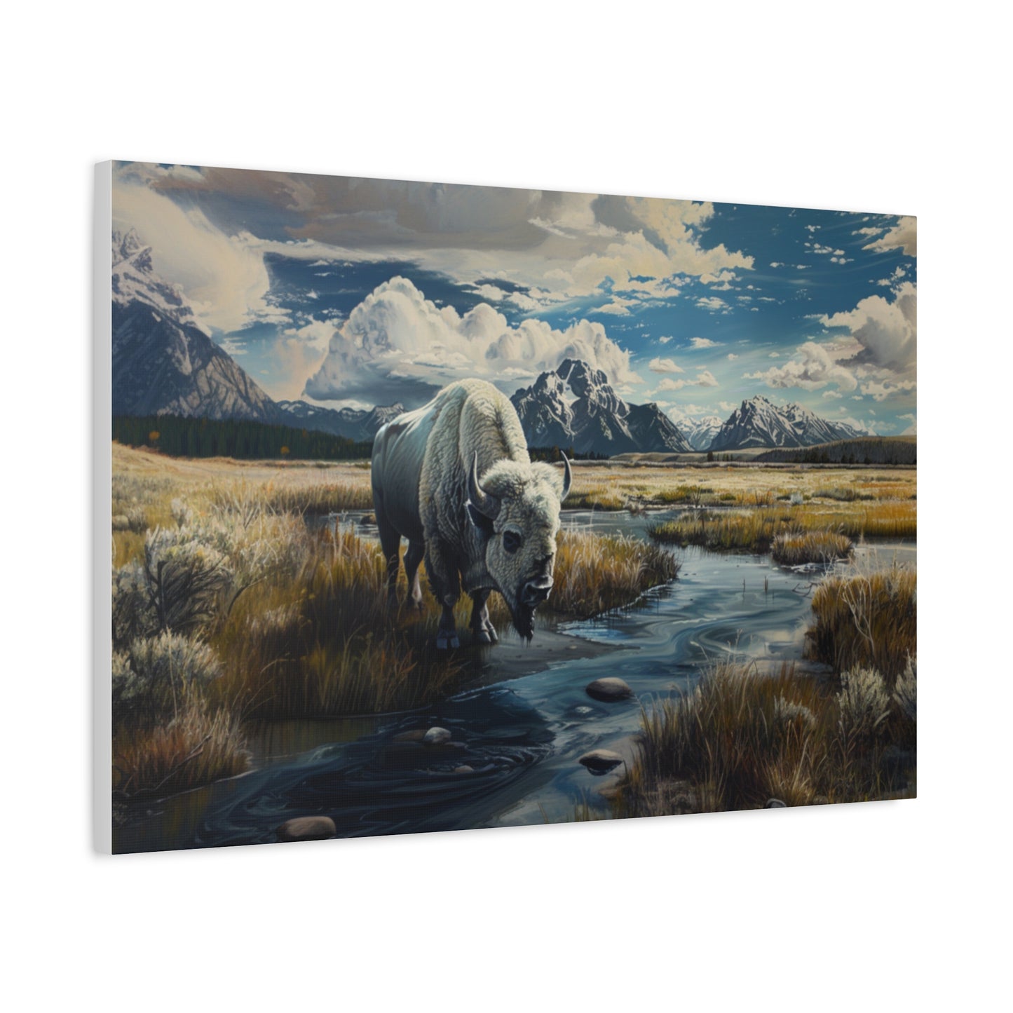 American "Spirit" Buffalo Canvas 1.25"