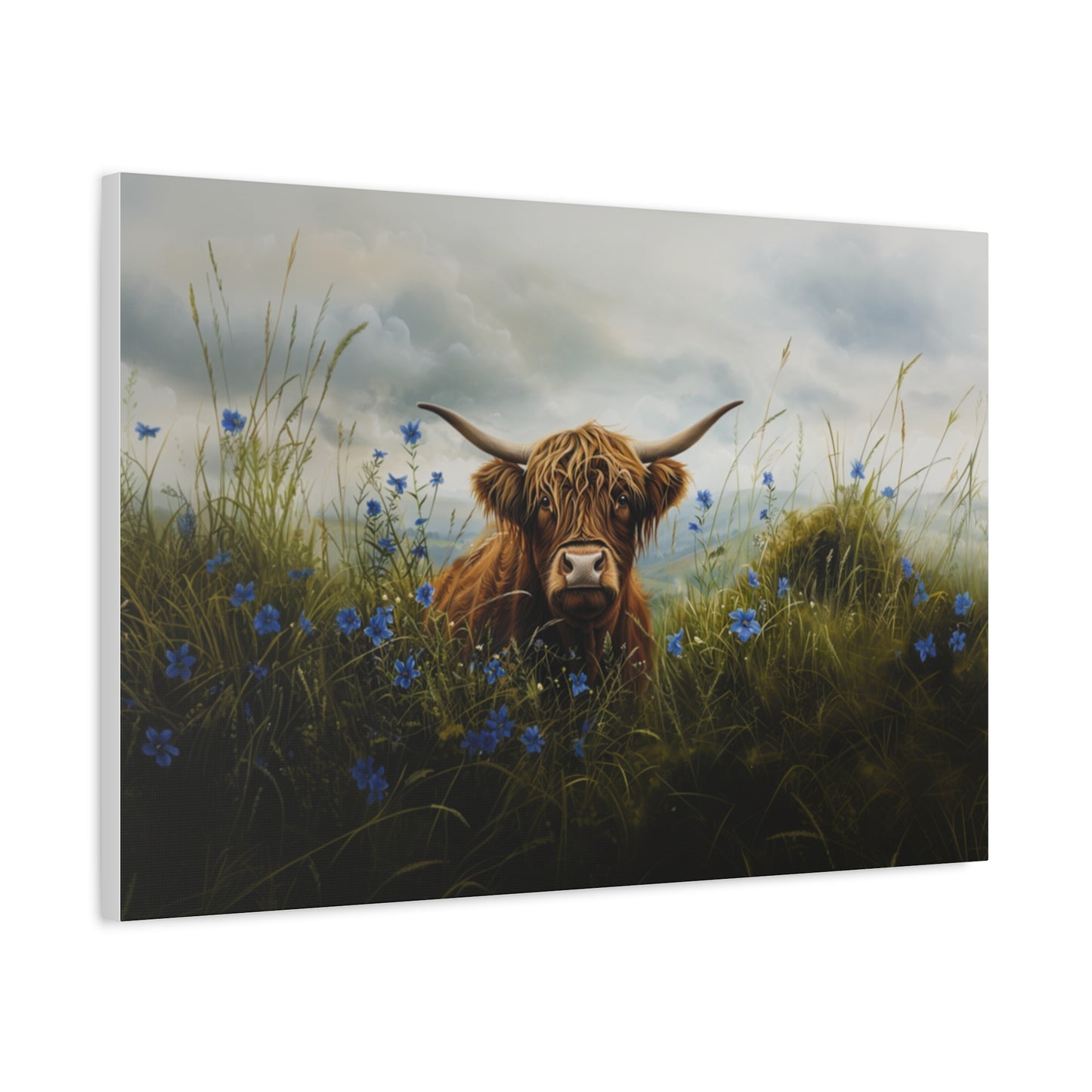 Highland "Forget Me Not" Cow Canvas 1.25"