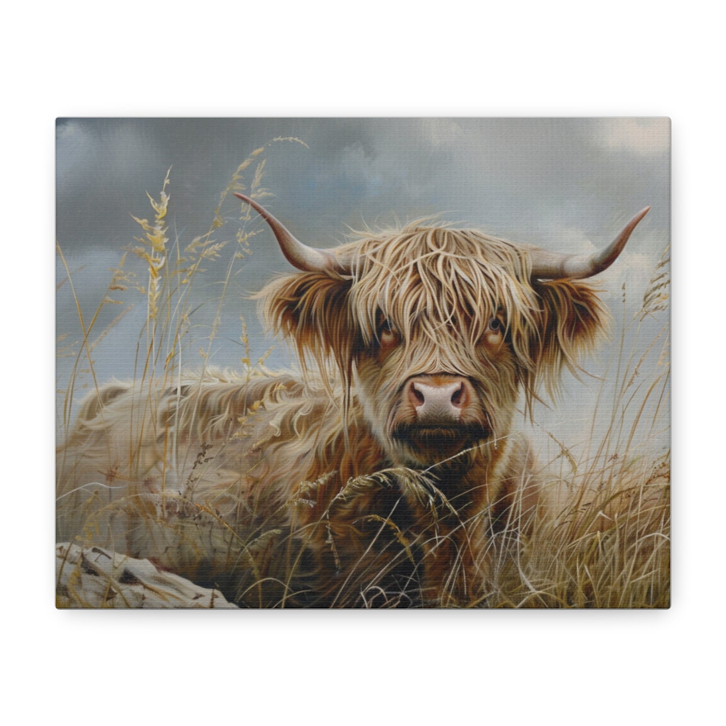 Highland "Goldilocks 2" Cow Canvas 1.25"