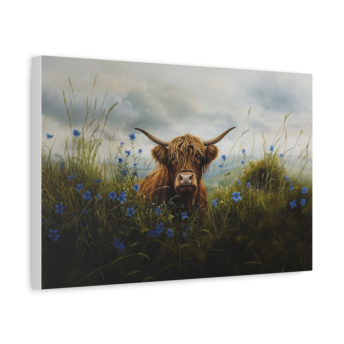 Highland "Forget Me Not" Cow Canvas 1.25"