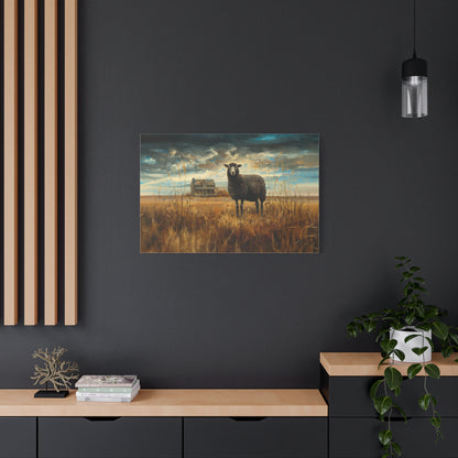 Black Welsh "Sooty" Sheep Canvas 1.25"