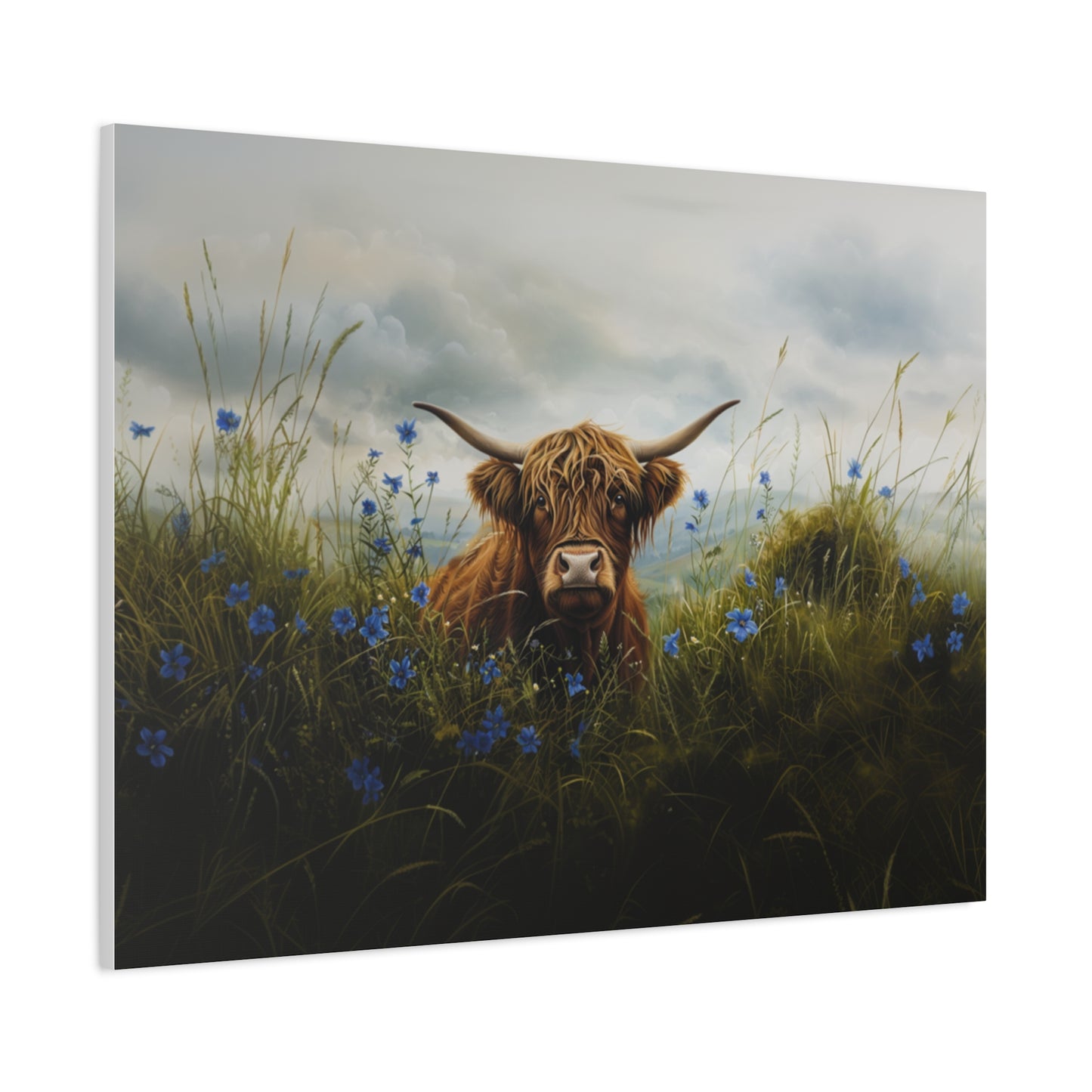 Highland "Forget Me Not" Cow Canvas 1.25"