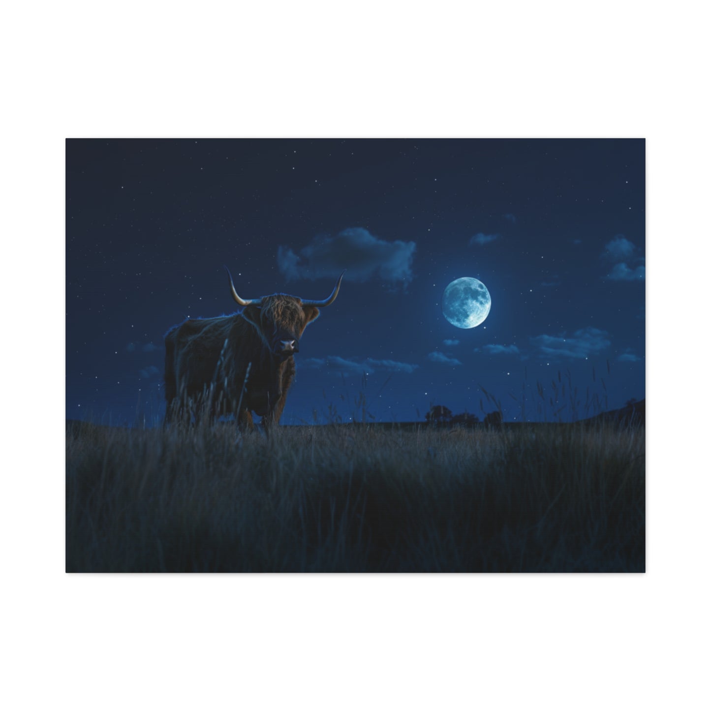 Highland "Starry Night" Cow Canvas 1.25"