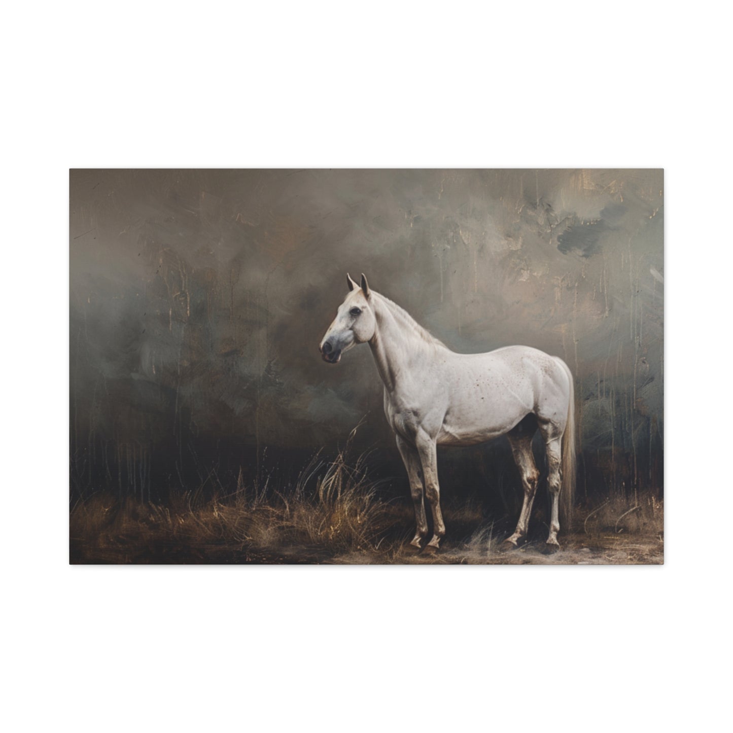 Stallion "Sterling" Canvas 1.25"