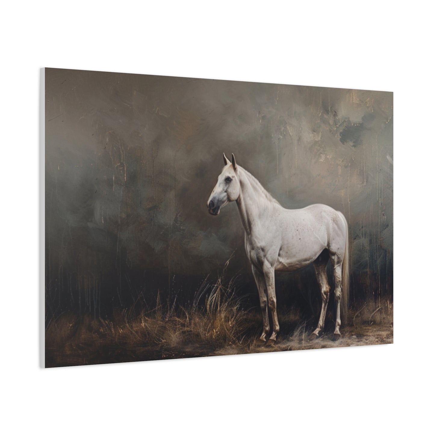 Stallion "Sterling" Canvas 1.25"