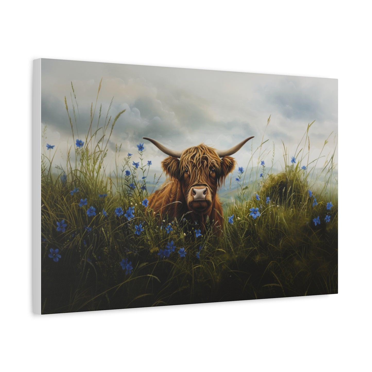 Highland "Forget Me Not" Cow Canvas 1.25"