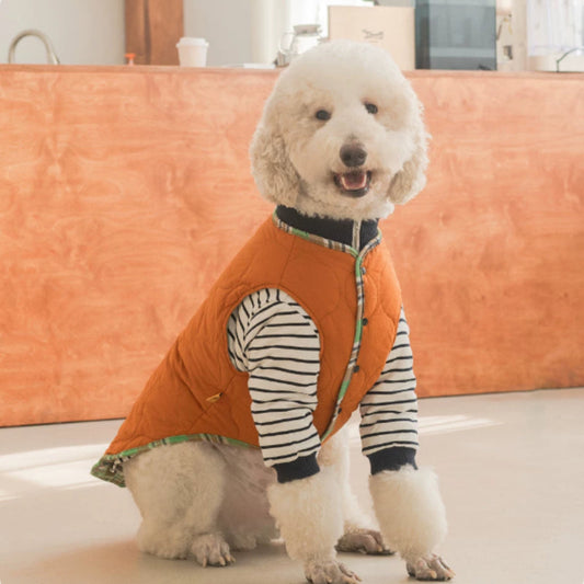 Thermal Protection Large Dog Winter Clothing Labrador Retriever