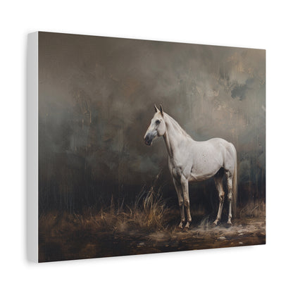 Stallion "Sterling" Canvas 1.25"