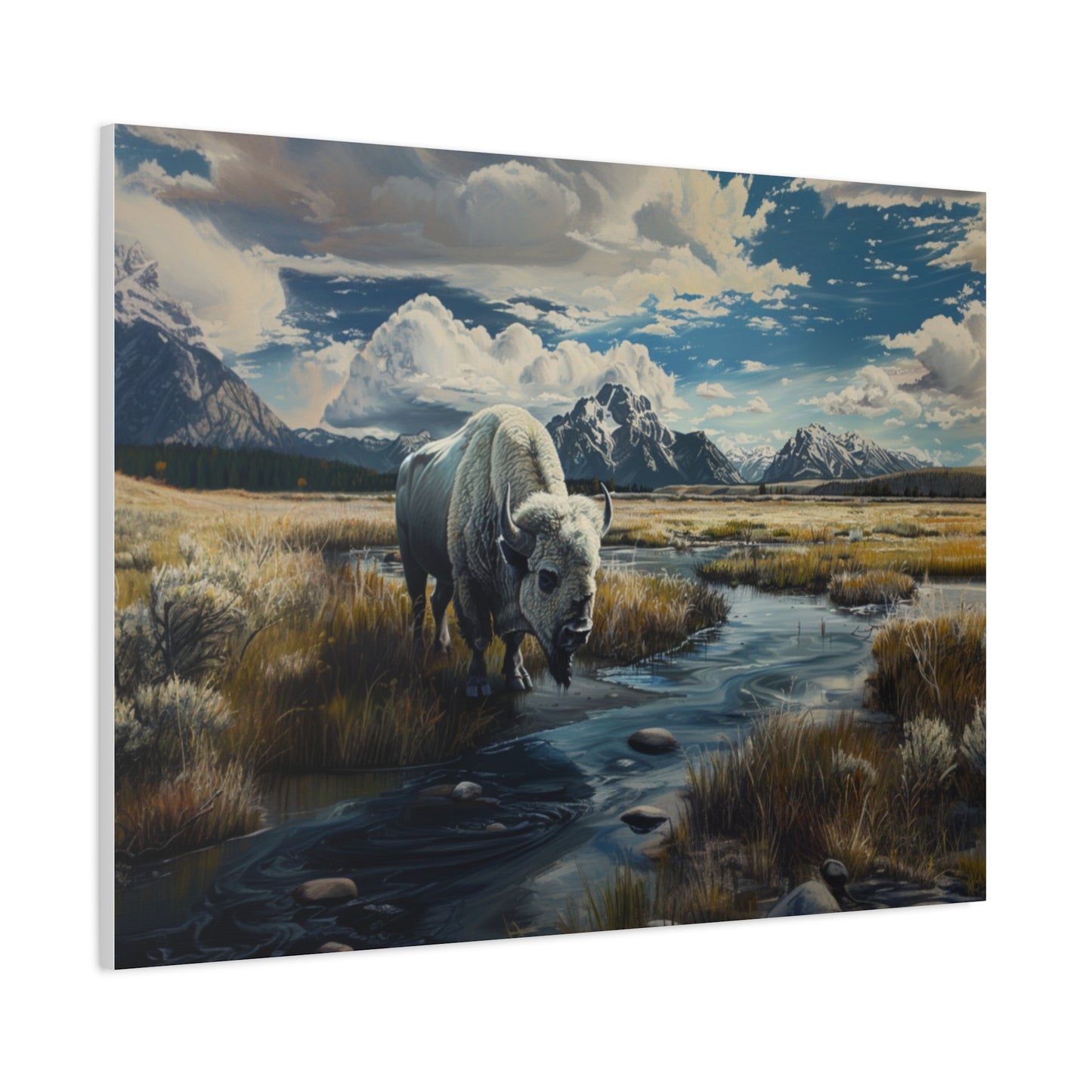 American "Spirit" Buffalo Canvas 1.25"