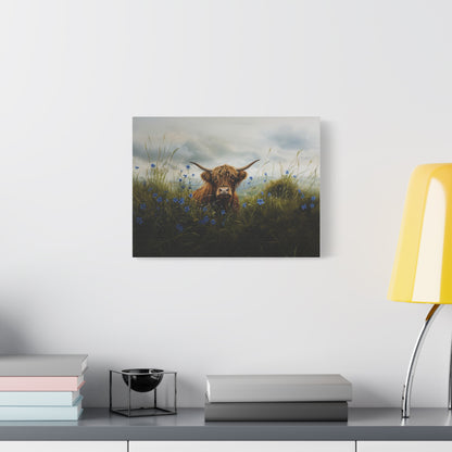 Highland "Forget Me Not" Cow Canvas 1.25"