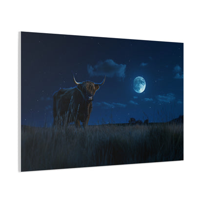 Highland "Starry Night" Cow Canvas 1.25"