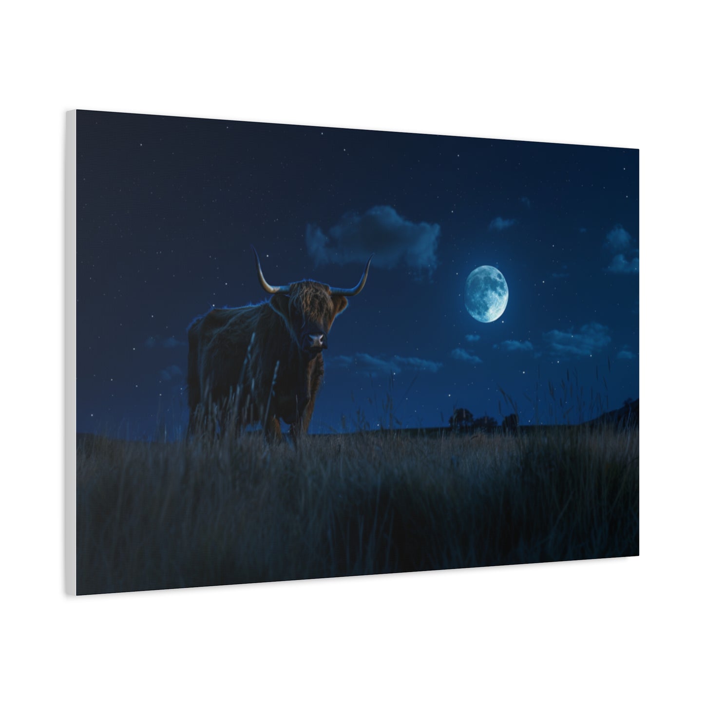 Highland "Starry Night" Cow Canvas 1.25"