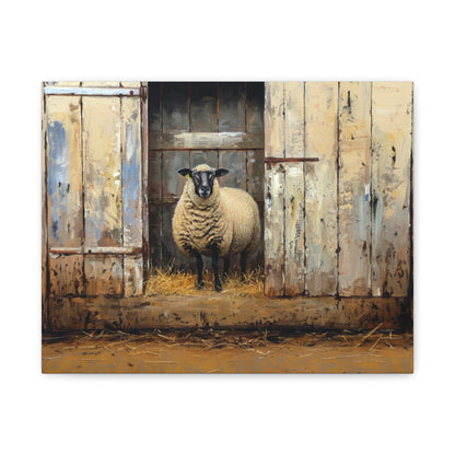 Suffolk "Sophie" Sheep Canvas 1.25"