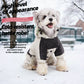 Thermal Dog Winter Coat Waterproof Hooded Snowsuit