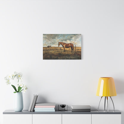 Mustang "Sagebrush" Canvas 1.25"