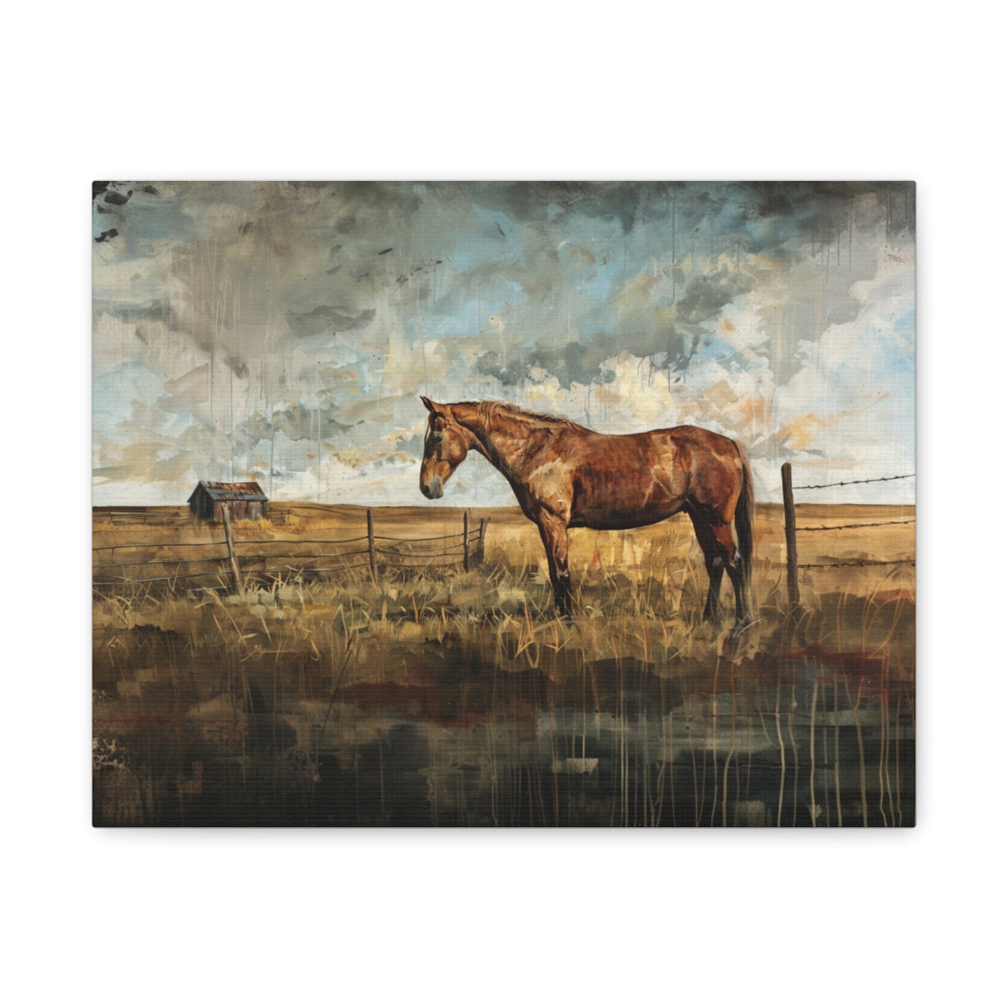 Mustang "Sagebrush" Canvas 1.25"