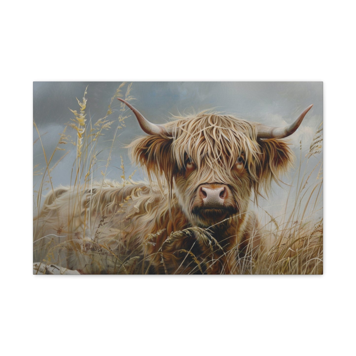 Highland "Goldilocks 2" Cow Canvas 1.25"