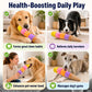 Rainbow Ice Cream Squeaky Plush Dog Tug Toy