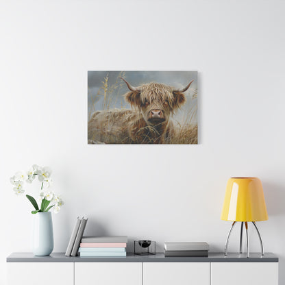 Highland "Goldilocks 2" Cow Canvas 1.25"