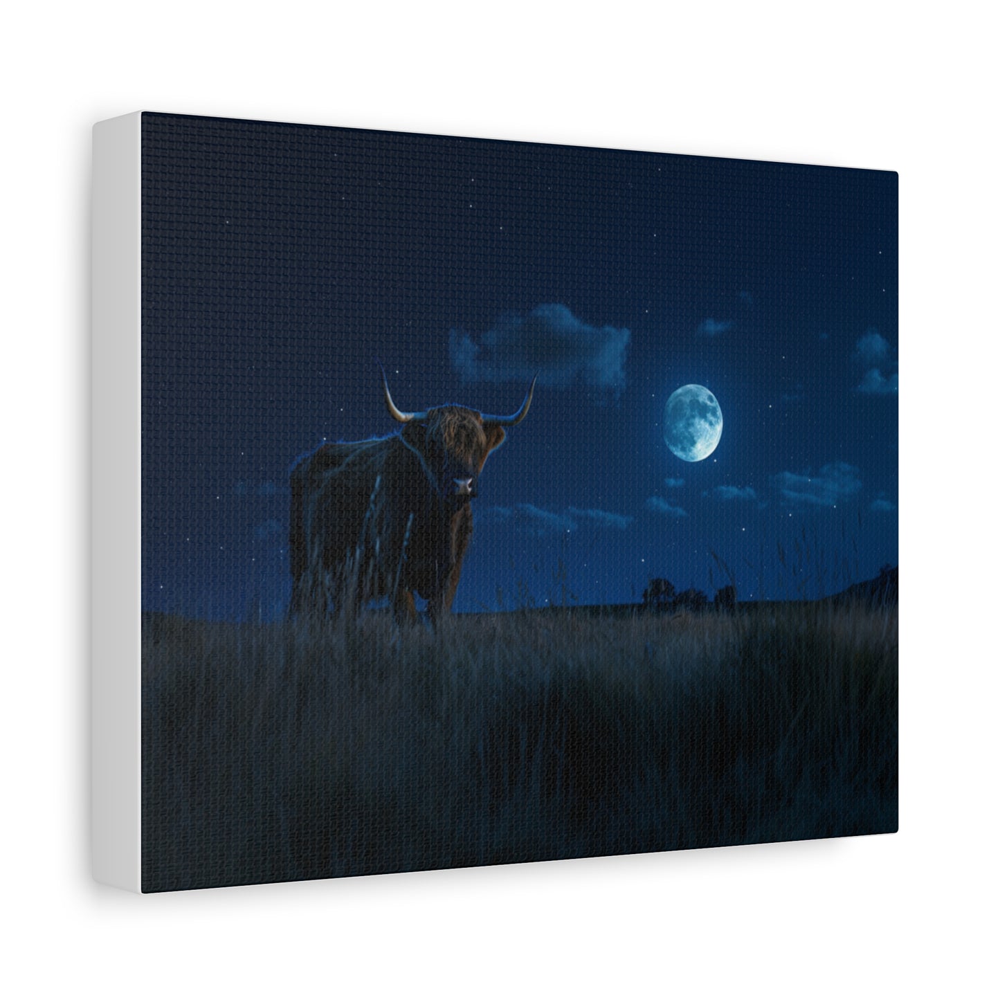 Highland "Starry Night" Cow Canvas 1.25"