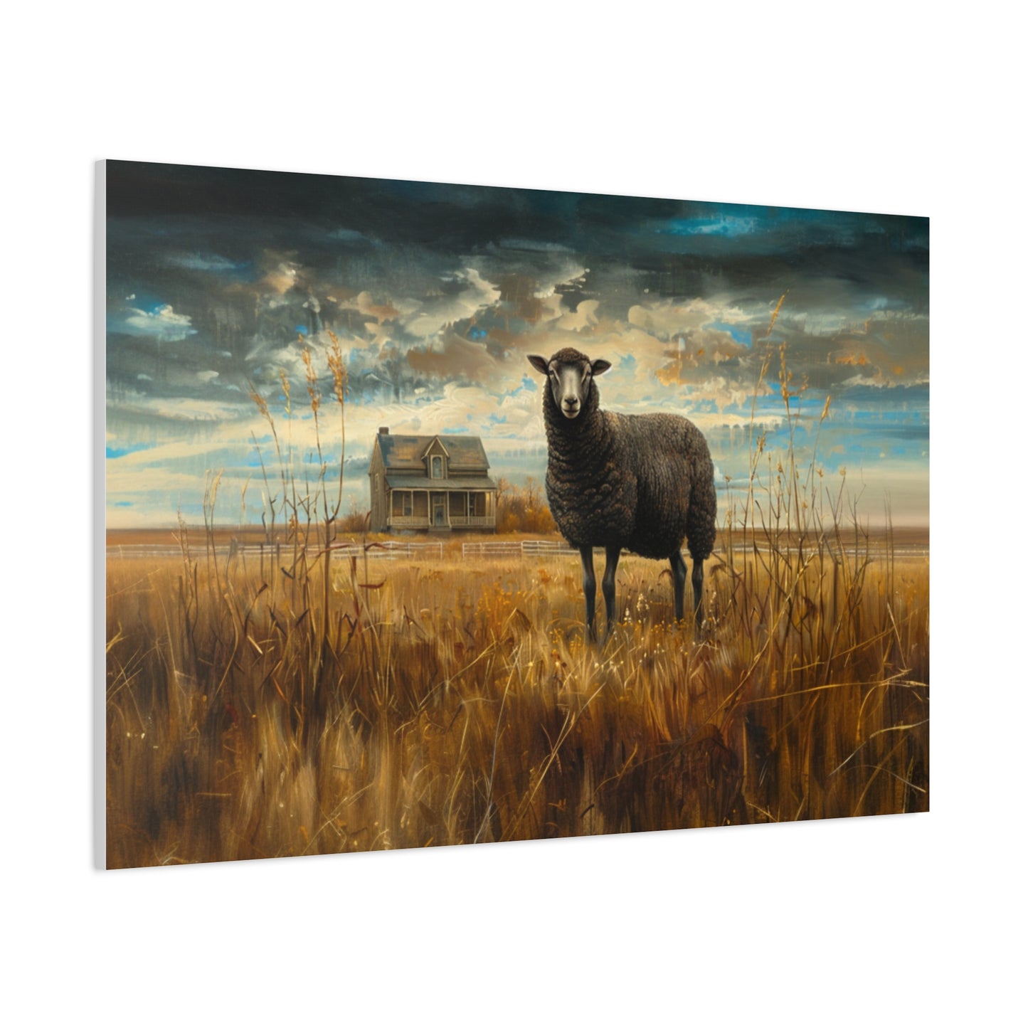 Black Welsh "Sooty" Sheep Canvas 1.25"