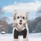 Thermal Dog Winter Coat Waterproof Hooded Snowsuit
