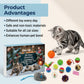 24 Day Christmas Advent Calendar Cat Toy