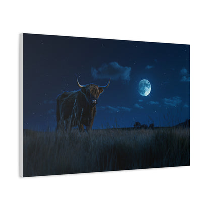 Highland "Starry Night" Cow Canvas 1.25"